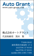 ギアタイプ カラー