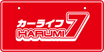 ナンバープレート実例集