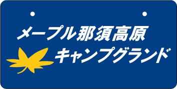 ナンバープレート実例集
