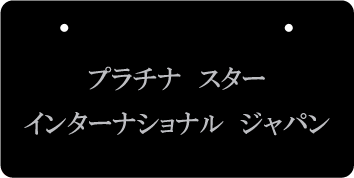 ナンバープレート実例集