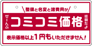 ナンバープレート実例集