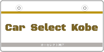ナンバープレート実例集