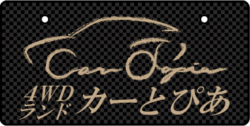 ナンバープレート実例集