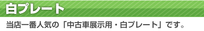 白・黒プレート